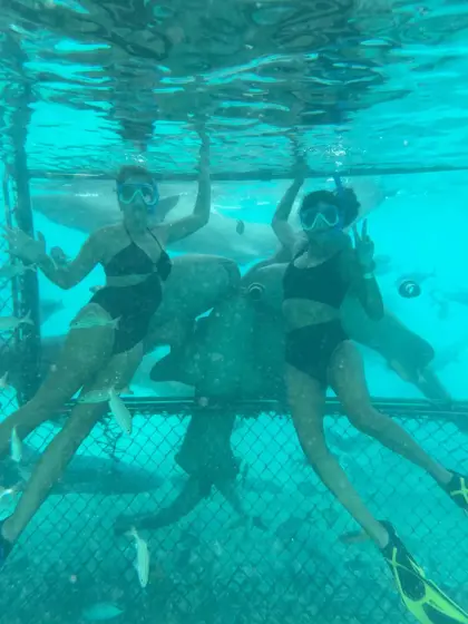 /book-tours/Dolphin-en-Sea-Aquarium/Animal_Encounters_212.jpg